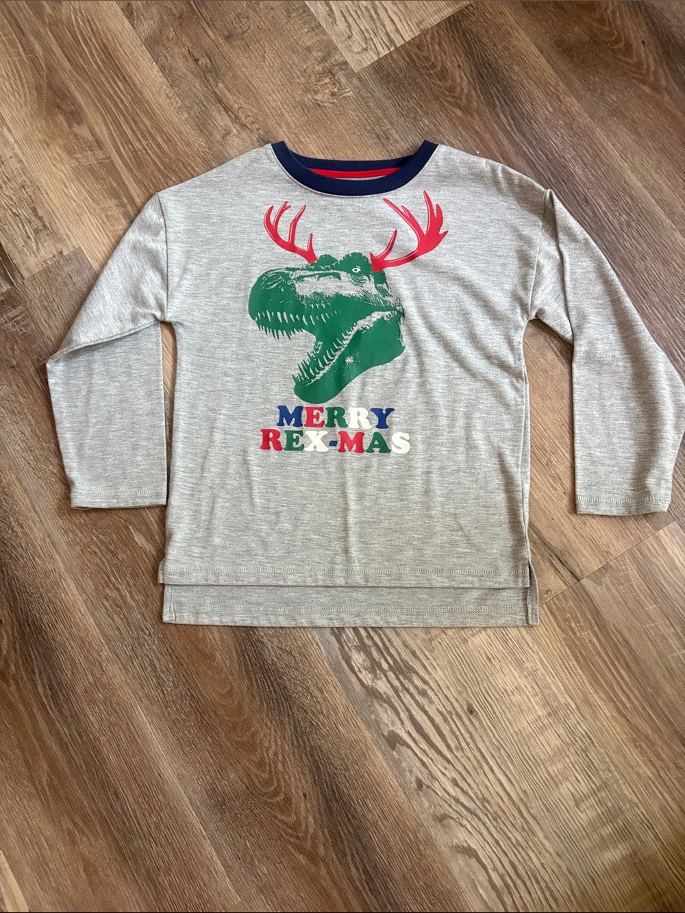 🦖🎄GAP Grey Long-Sleeve Tee